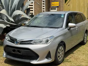 Toyota Corolla Fielder 2019 Silver
