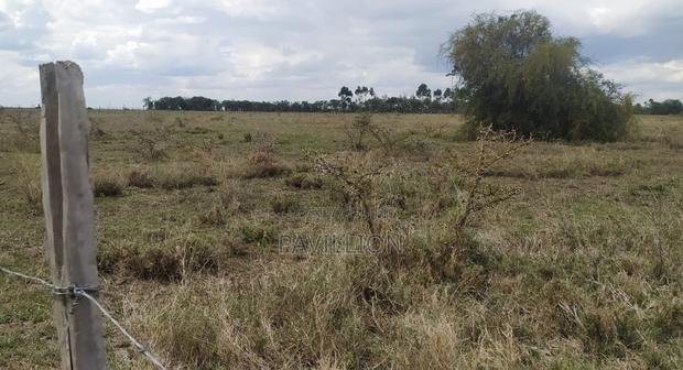 Prime 50x100 Plots for Sale-Naromoru