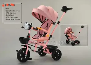 Baby Trycle With Canopy