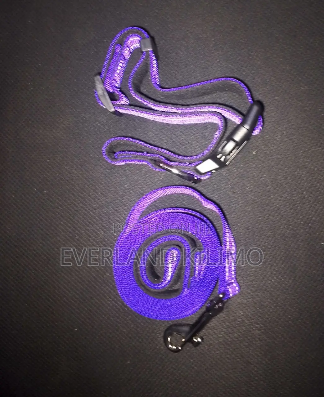 Reflective Dog Collar and Leash