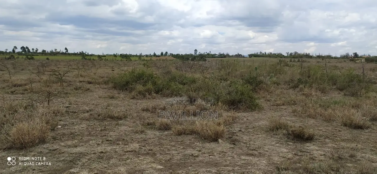Prime 50x100 Plots for Sale-Naromoru.