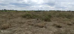 Prime 50x100 Plots for Sale-Naromoru.