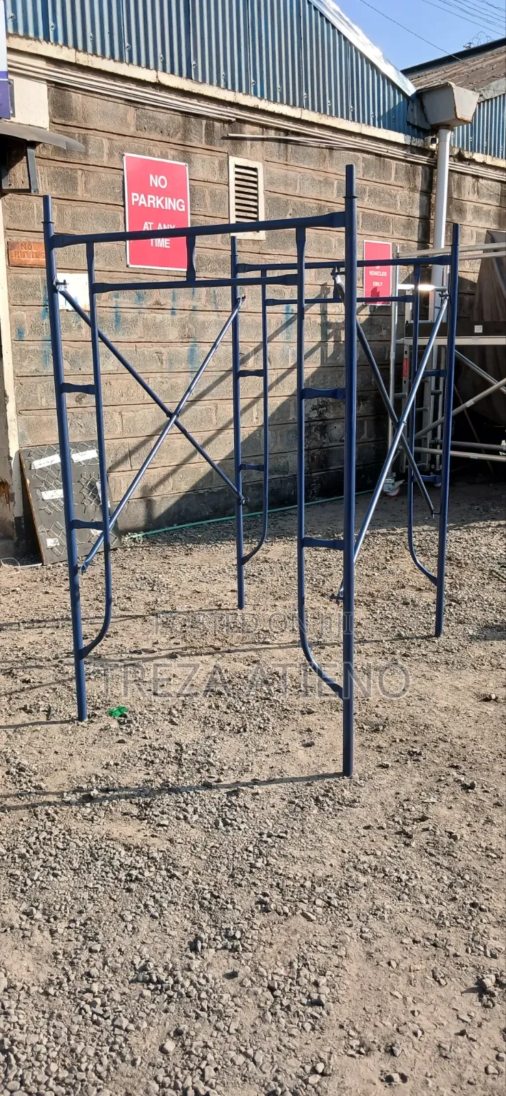 Construction Scaffolding Ladder