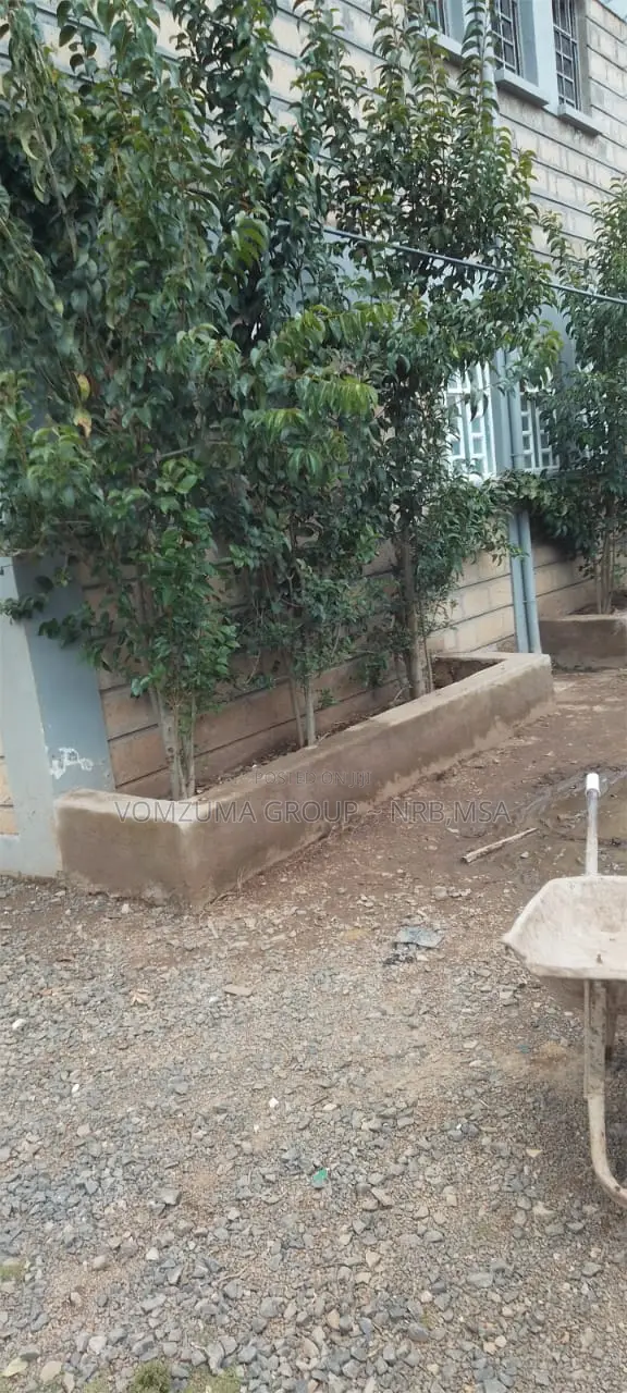3bdrm Block of Flats in Utawala Olerai, Narok Town for rent