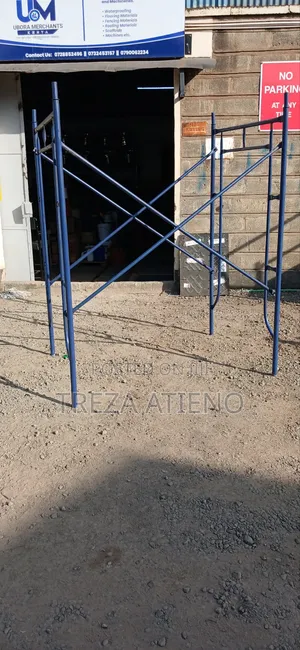 Steel Scaffolding Ladder