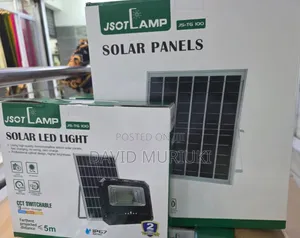 TG Solar floodLight 100