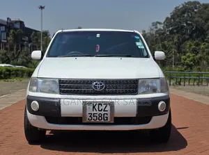 Toyota Probox 2013 White