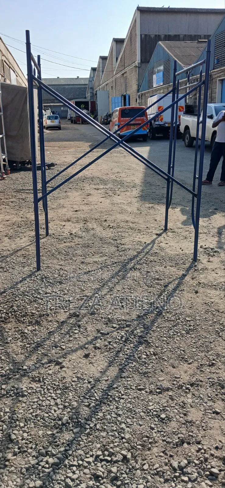Industrial Scaffolding Ladder