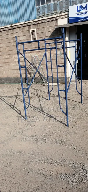 Scaffold Ladder