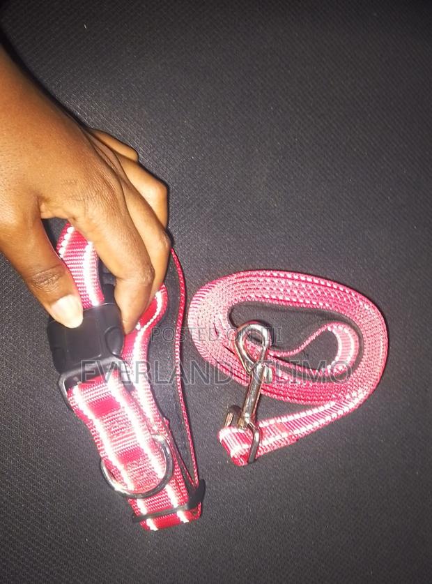 Colored Reflective Dog Collar and Leash