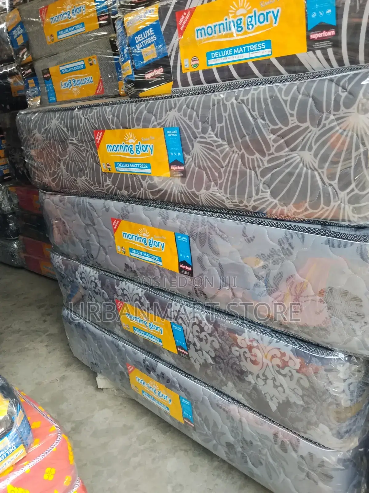 Family Mattress, 12 Inches, 5 by 6 From Morning Glory
