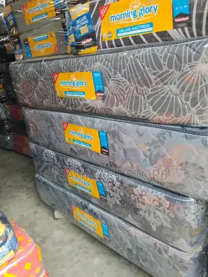Family Mattress, 12 Inches, 5 by 6 From Morning Glory
