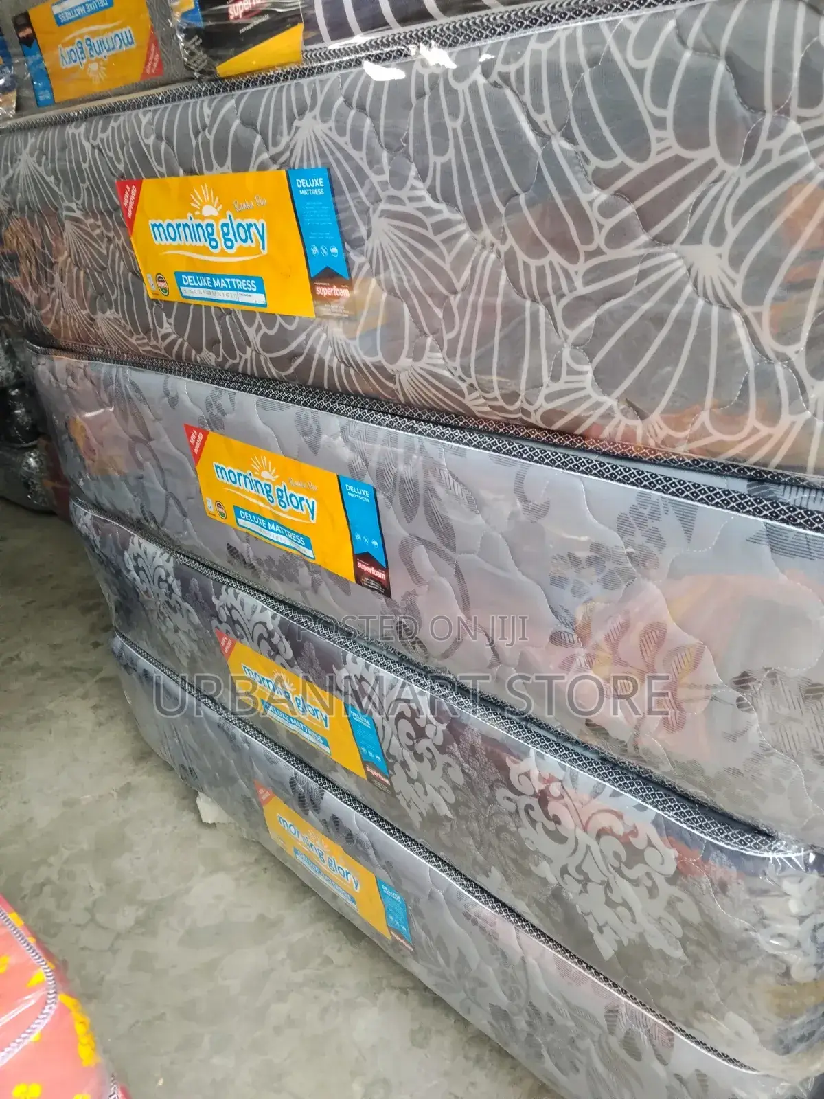 Family Mattress, 12 Inches, 5 by 6 From Morning Glory