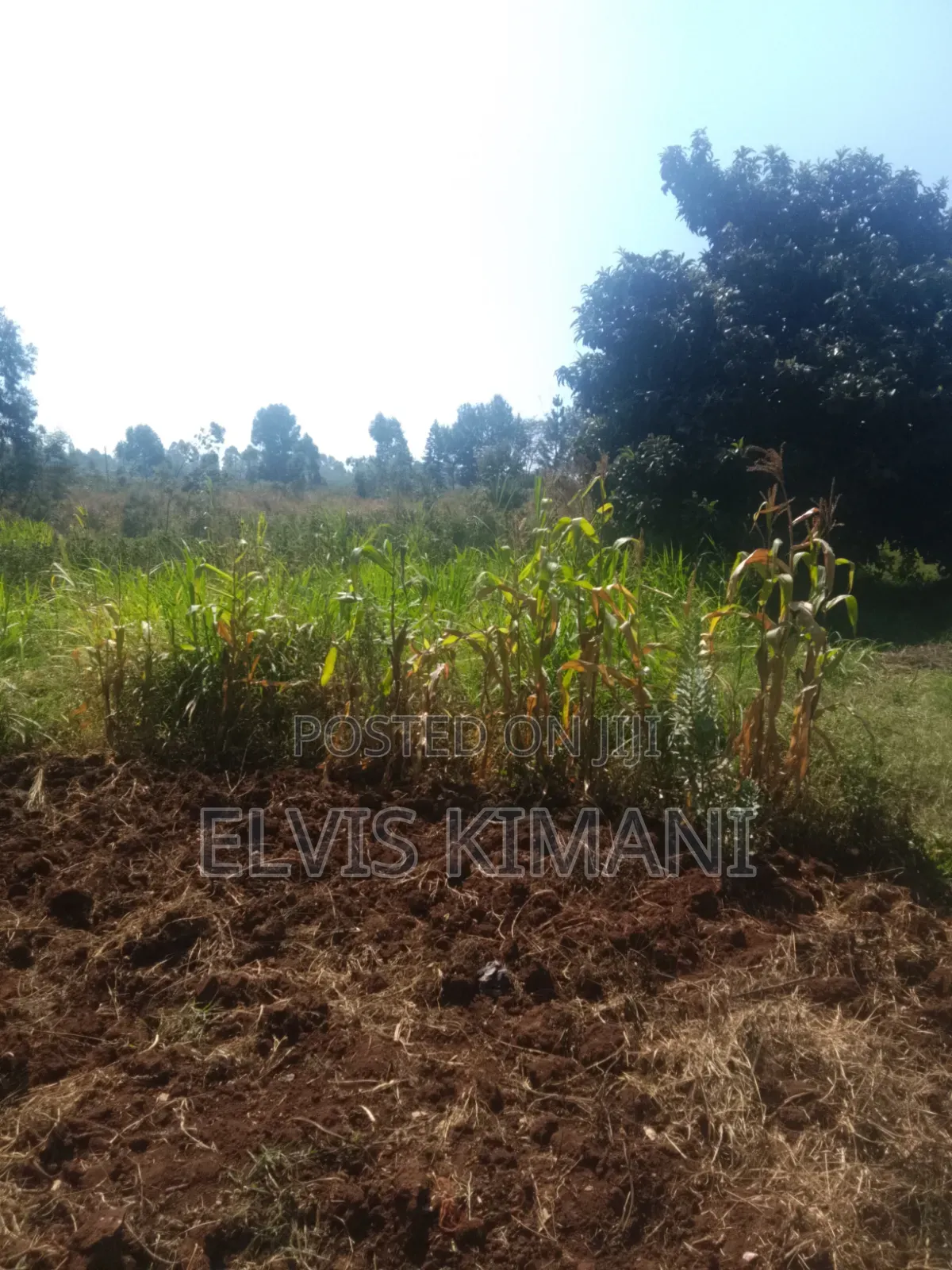 Land for Sale in Limuru