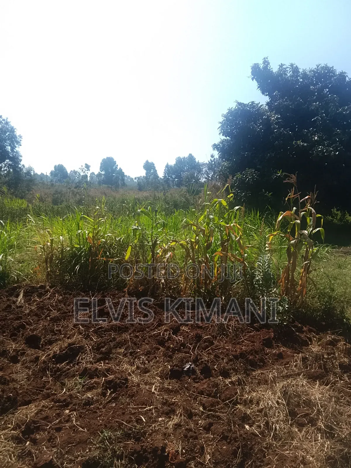 Land for Sale in Limuru