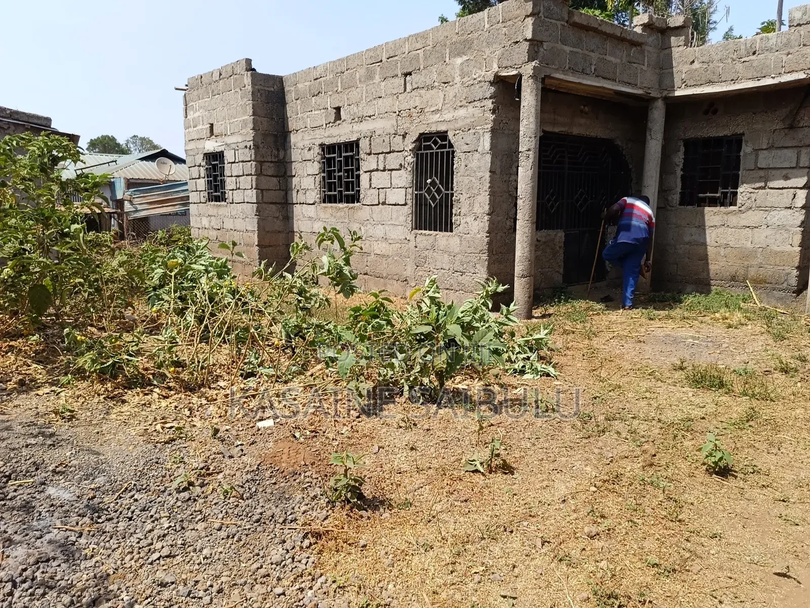 3bdrm Farm House in Tikondo, Kimana for sale
