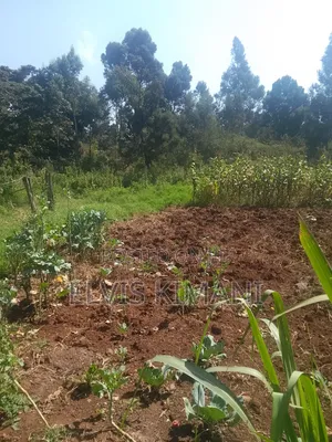 1/2 Acres of Land on Sale in Limuru Ndeiya Along ThogotoMutarakwa Road