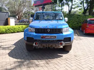 Mobius Mobius III 2021 Blue