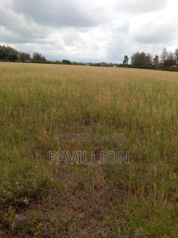 Prime 50x100 Plots for Sale-Naromoru - thumbnail 4