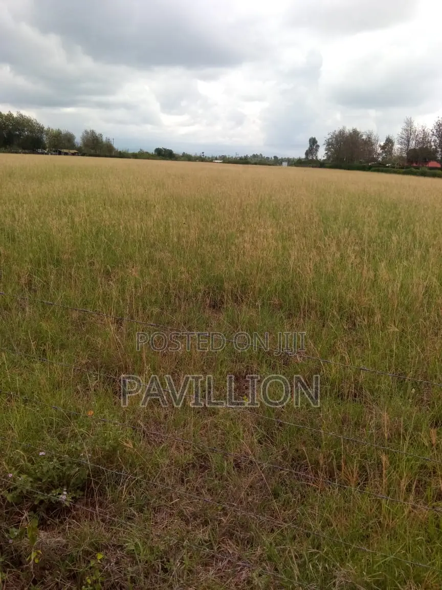 Prime 50x100 Plots for Sale-Naromoru.