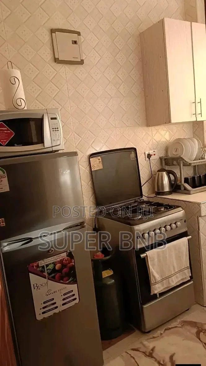 Fully Furnished 1 Bedroom Apartment Along Mirema Drive, Off Thika Rd