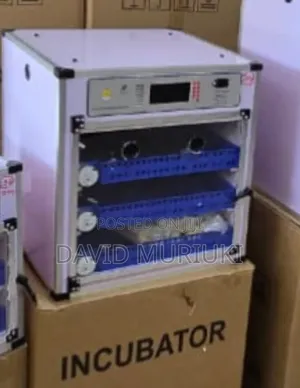 204eggs Automatic Incubator
