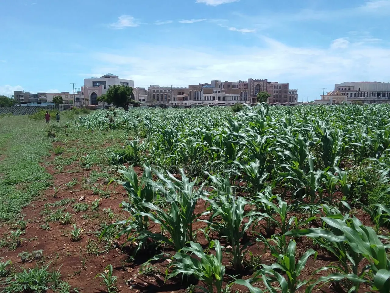 50 by 100 Plot Prime Location in Vipingo for Sale