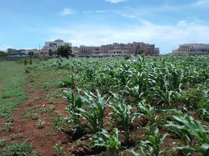 50 by 100 Plot Prime Location in Vipingo for Sale