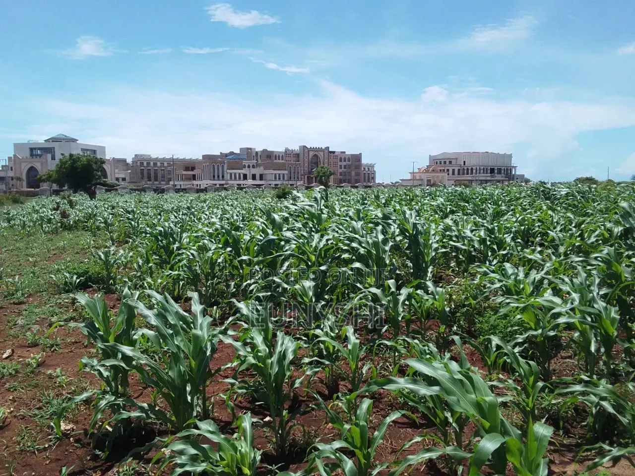 50 by 100 Plot Prime Location in Vipingo for Sale