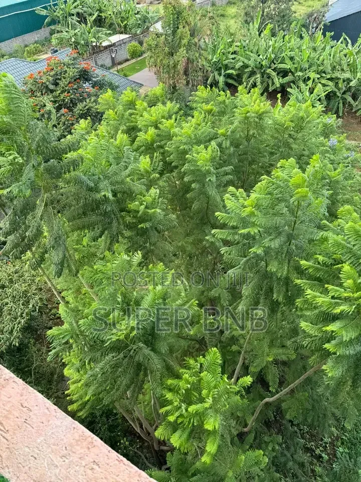1 , 2-Bedroom Gem* Behind GreenSpot Gardens Eastern Bypass