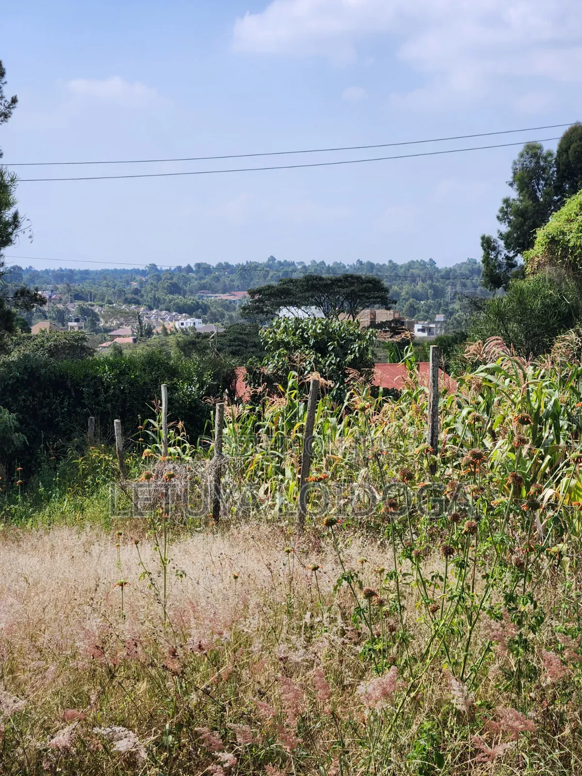 1⁄8 Acre Ngong-Kibiko(Milimani Road)