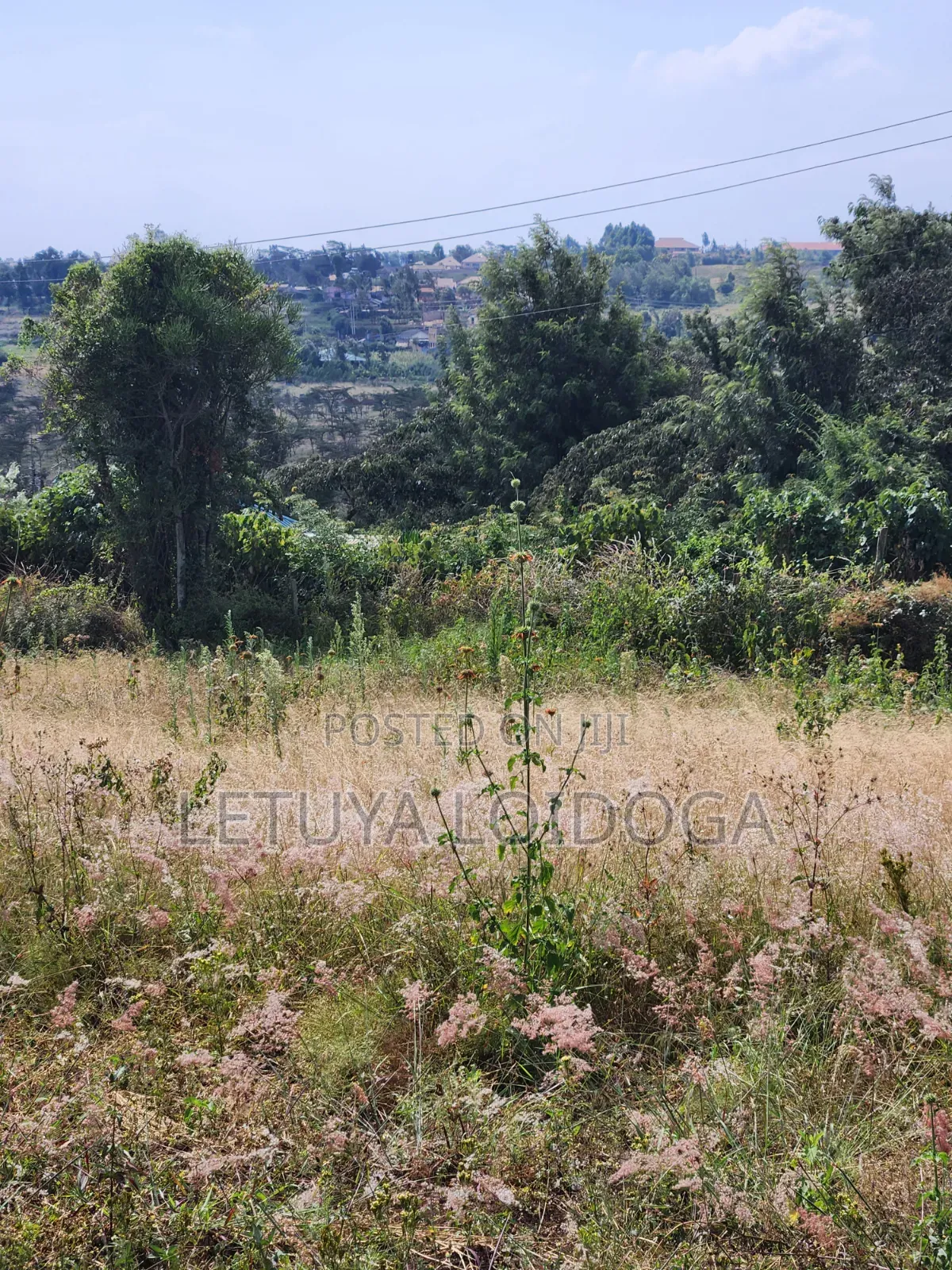 1⁄8 Acre Ngong-Kibiko(Milimani Road)