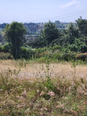 1⁄8 Acre Ngong-Kibiko(Milimani Road)