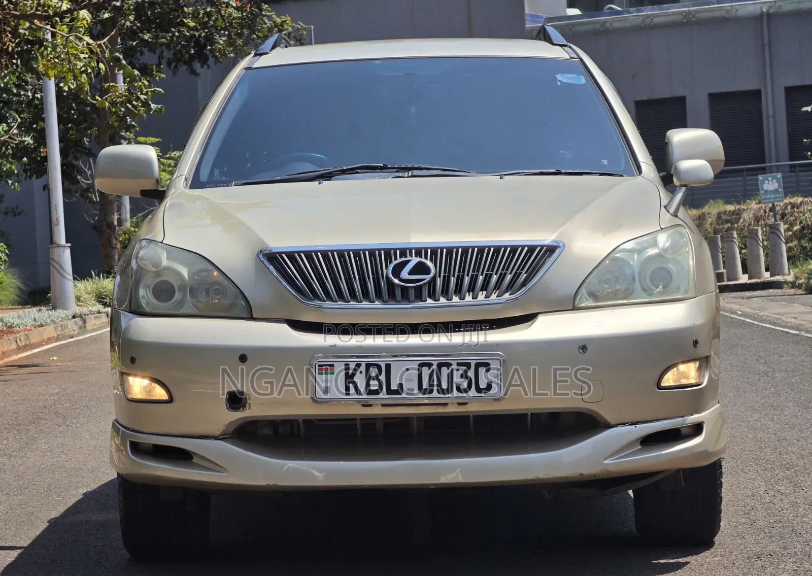 Lexus RX 2003 Beige