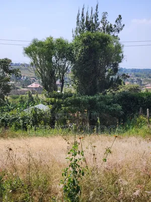 1⁄8 Acre Ngong-Kibiko(Milimani Road)