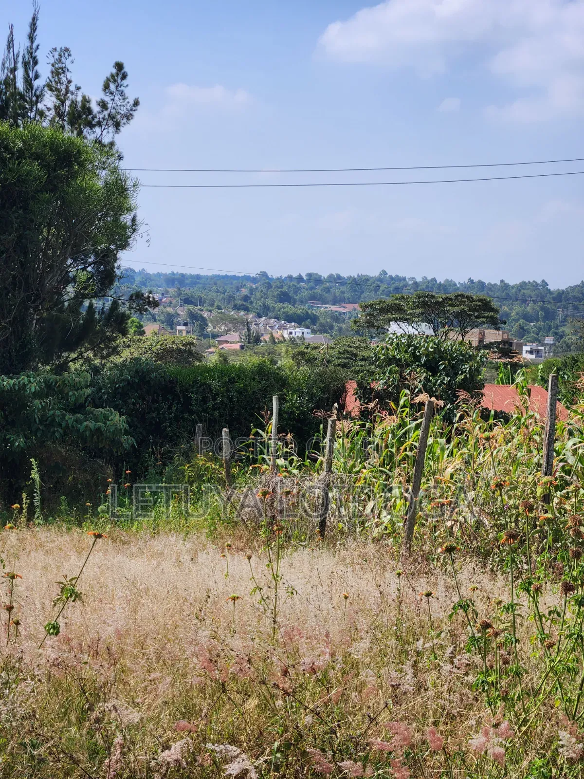 1⁄8 Acre Ngong-Kibiko(Milimani Road)