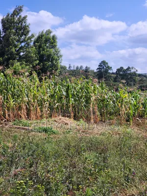 1⁄8 Acre Ngong-Kibiko(Milimani Road)