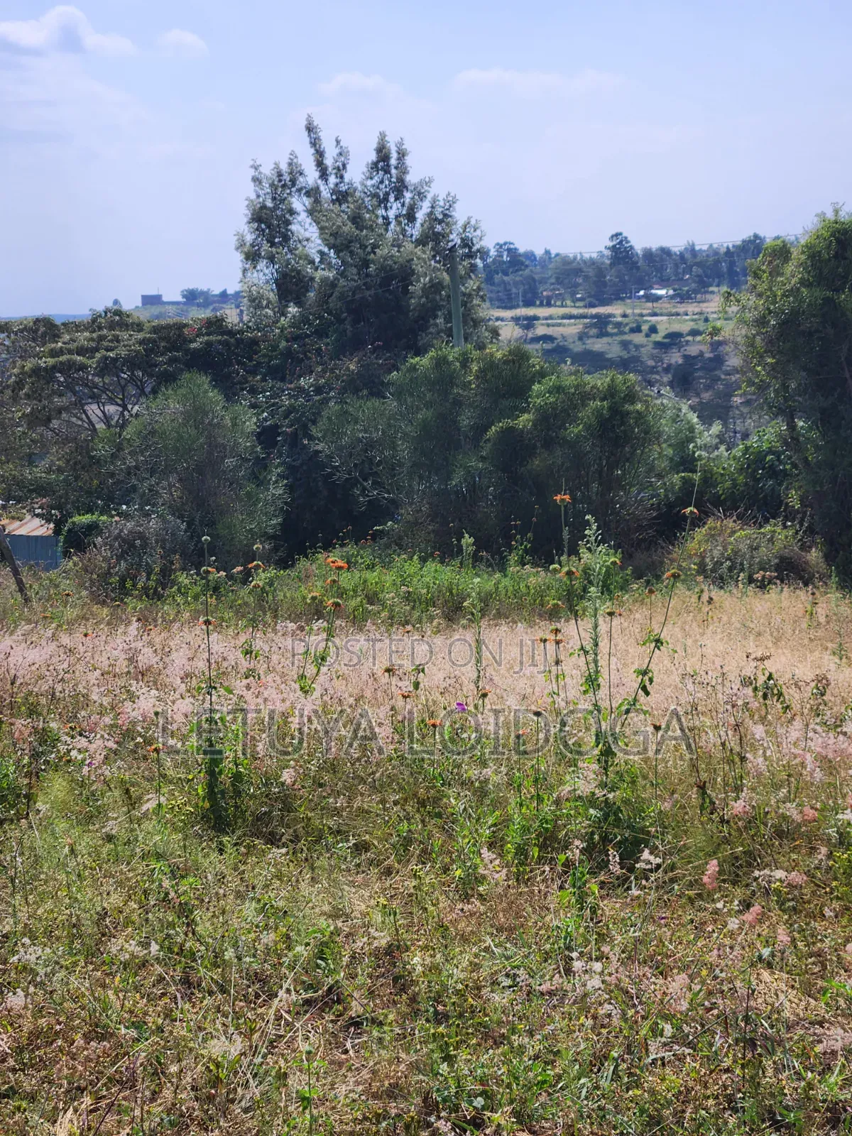1⁄8 Acre Ngong-Kibiko(Milimani Road)