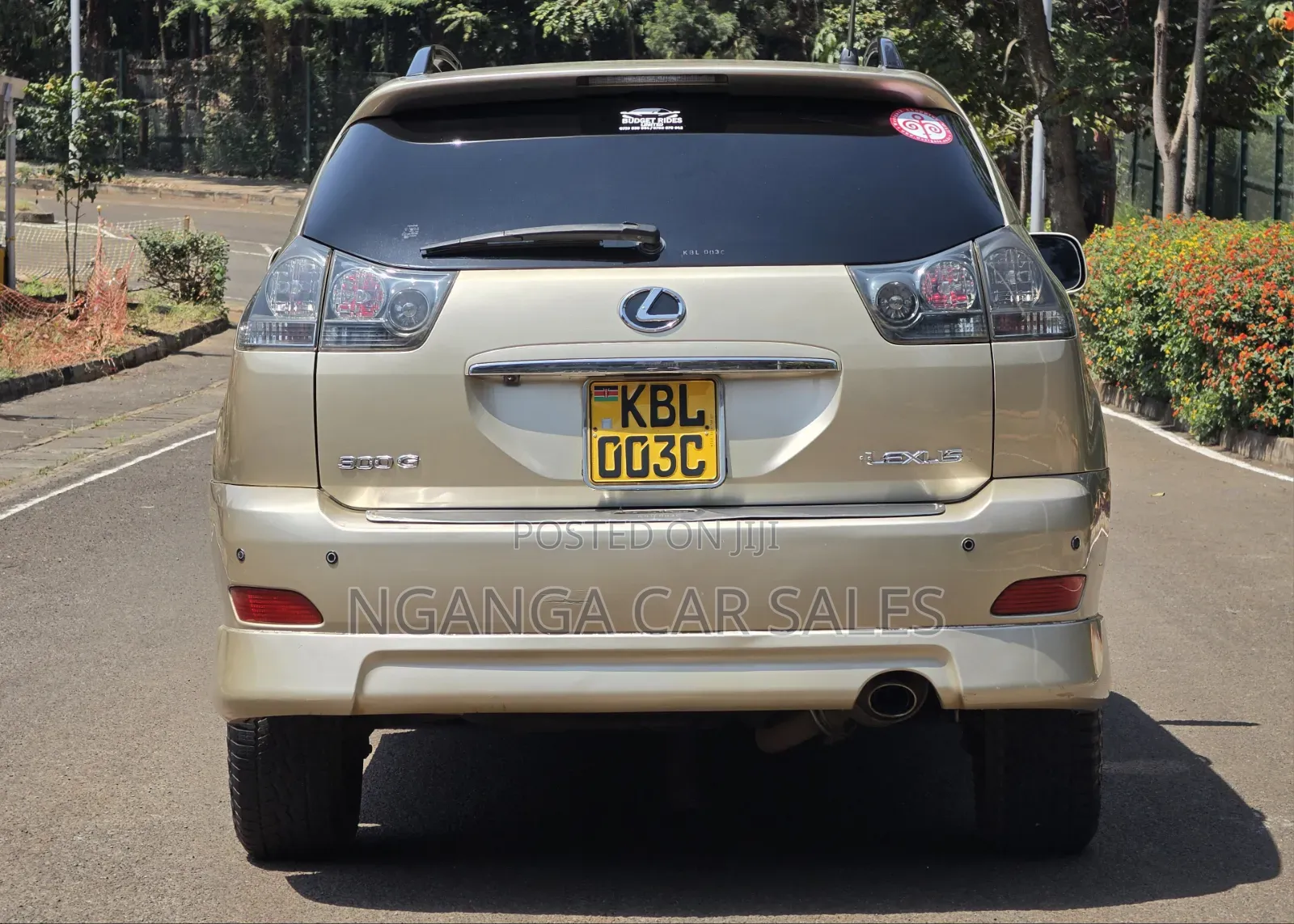Lexus RX 2003 Beige