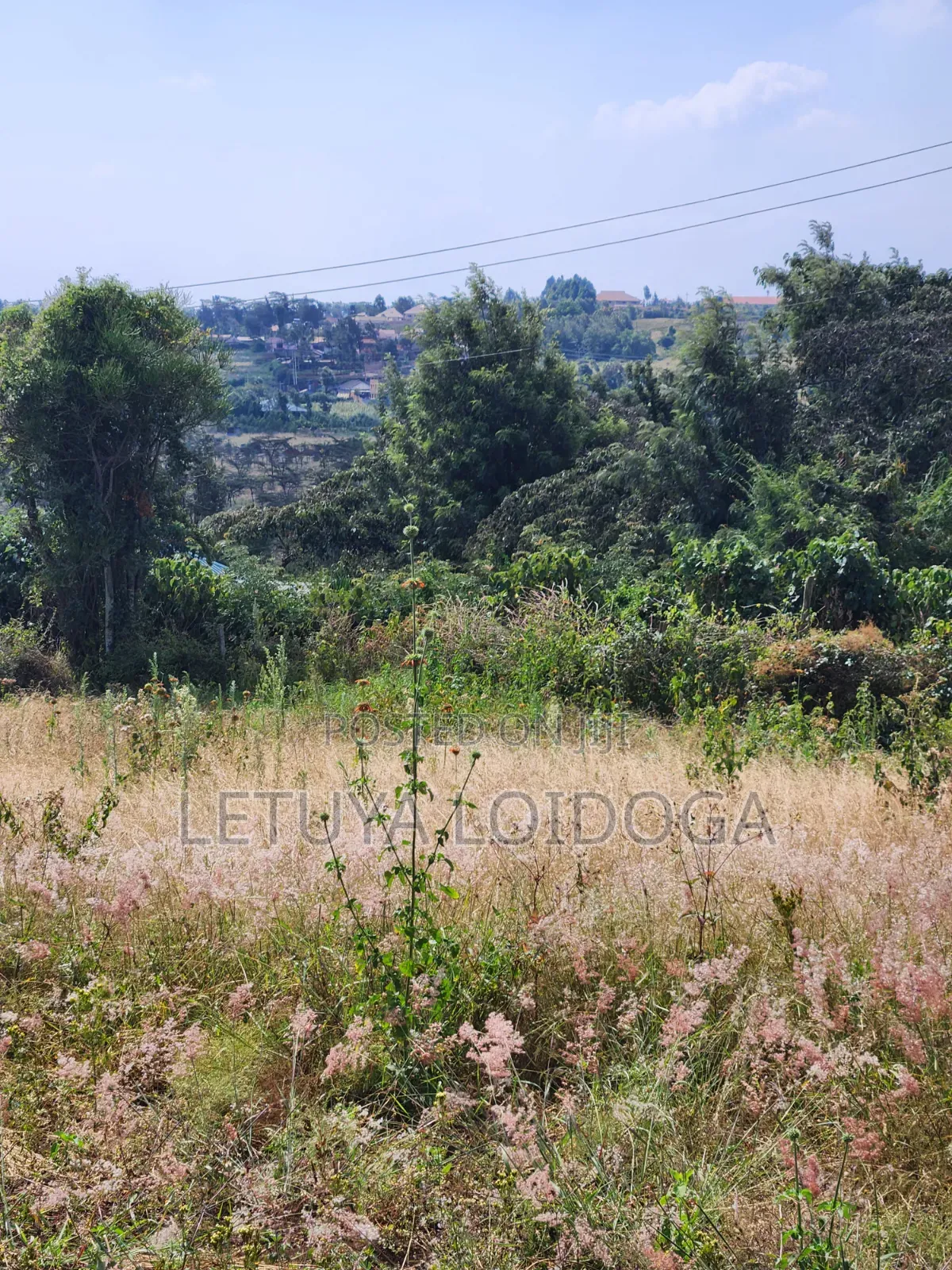 1⁄8 Acre Ngong-Kibiko(Milimani Road)