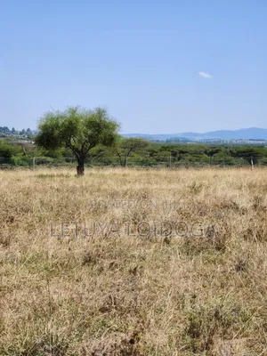 Developed 7Acres Isinya-Kiserian Road