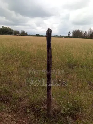 Prime 50x100 Plots for Sale-Naromoru.