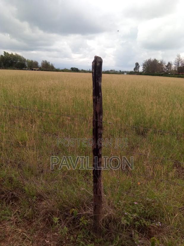 Prime 50x100 Plots for Sale-Naromoru - thumbnail 3