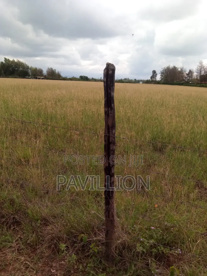 Prime 50x100 Plots for Sale-Naromoru.