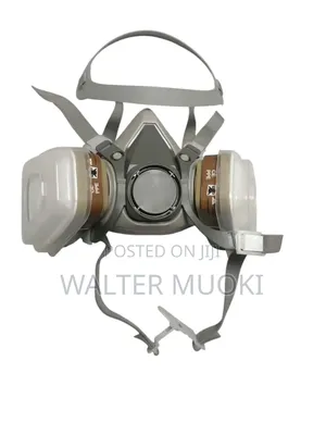 Dual Cartridge Mask