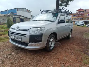 Toyota Probox 1.5 DX 2WD 2020 Silver
