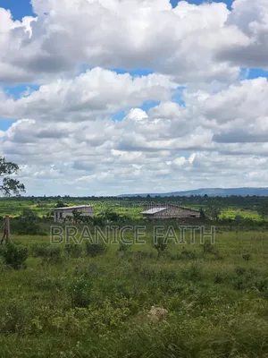 Kakoneni 50*100
