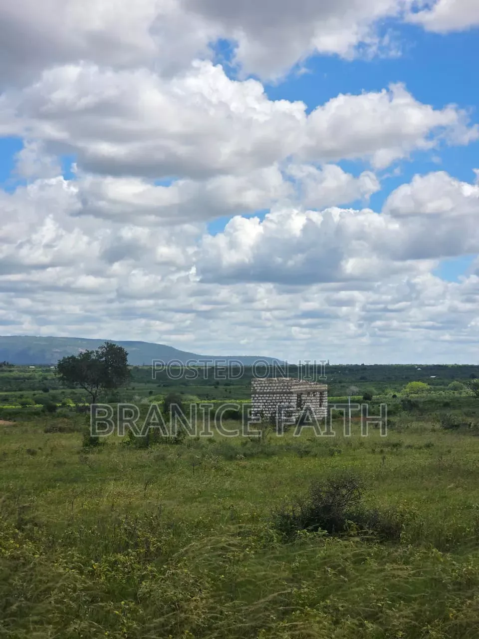 Kakoneni 50*100