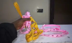 Small, Patterned Pet Harnesse and Leash
