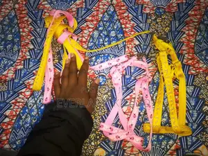 Dog Leash and Harness